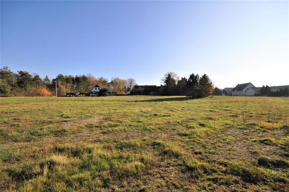 Interessanter 3-Seiten-Bauernhof mit angrenzender Wiese in Rohne