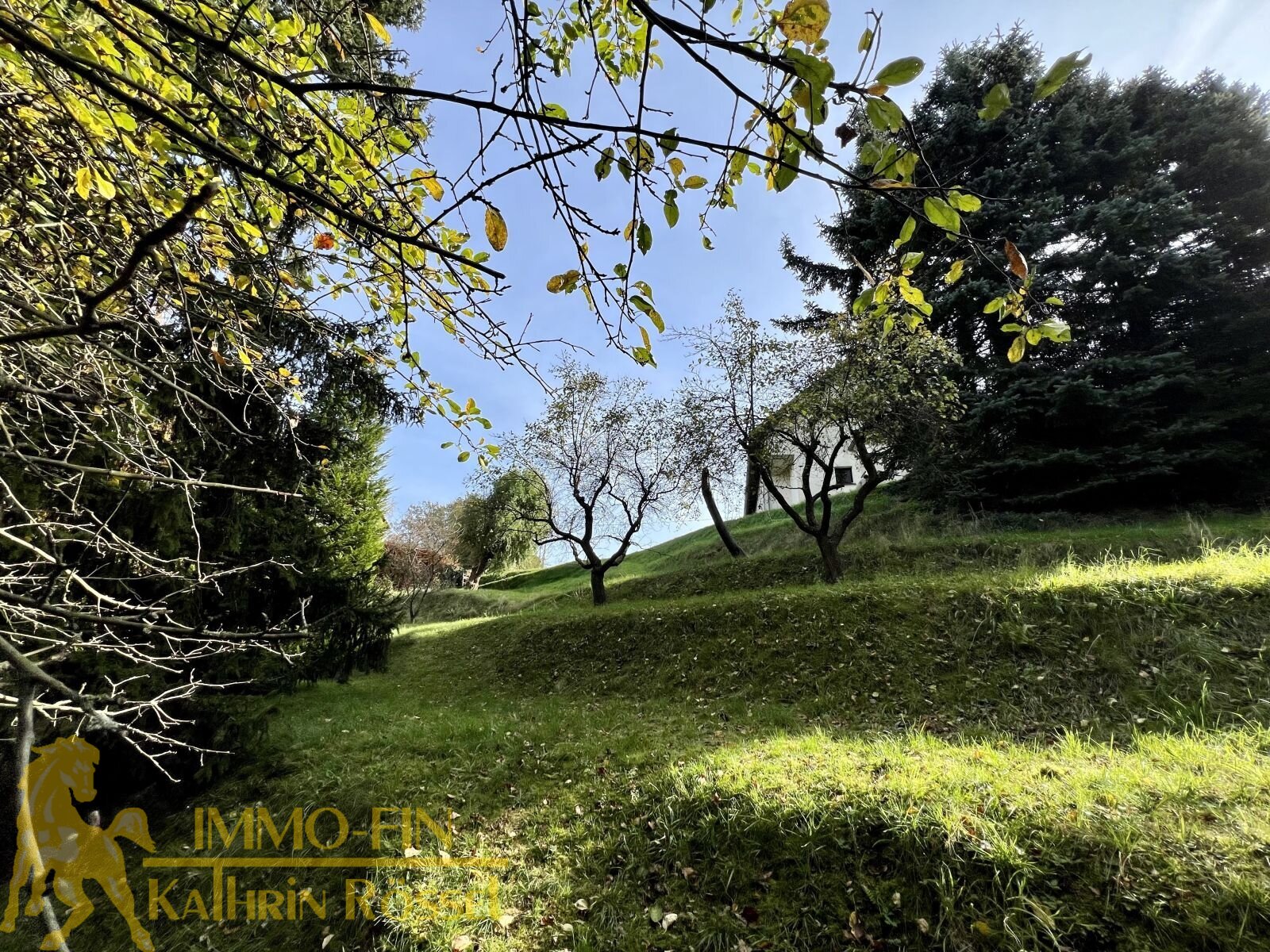 Ihr ideales Familienhaus in Bad Muskau – Großzügig, ruhig und naturnah