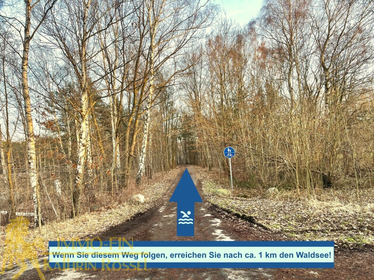 Weg zum Waldsee führend