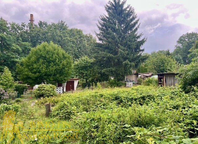 Blick vom Wohnhaus auf die Kleingartenanlage Blick vom Wohnhaus auf die Kleingartenanlage