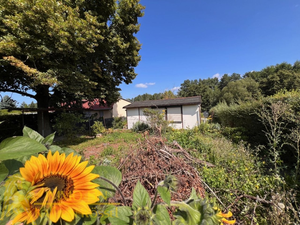 Gartenansicht von der Straße aus (S) Gartenansicht von der Straße aus (S)