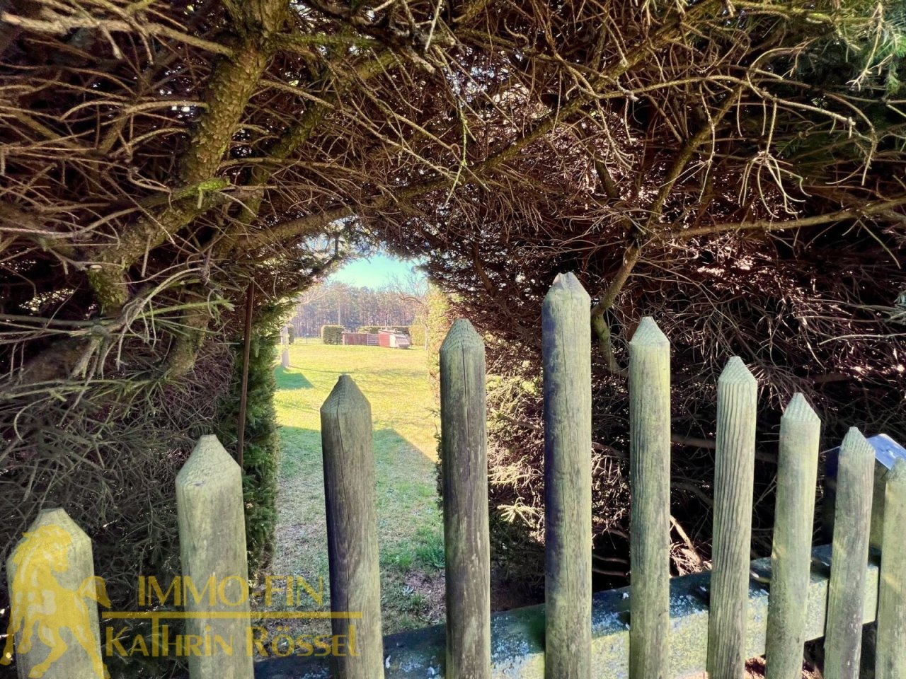 Blick in den Garten vom Zaun aus (N)