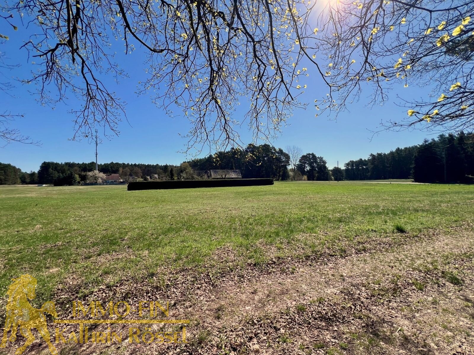 Westansicht aus der Ferne