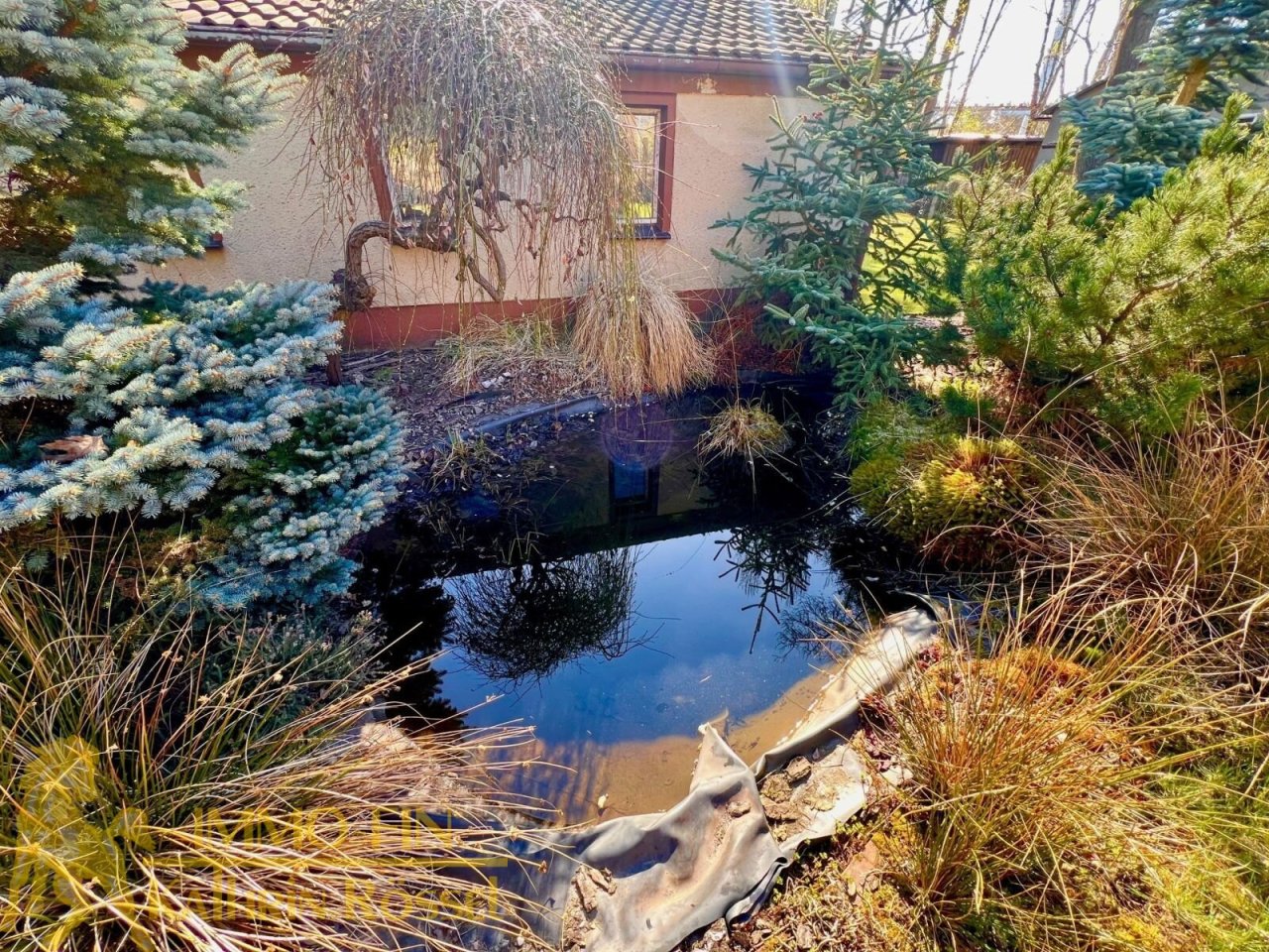 Kleiner Teich