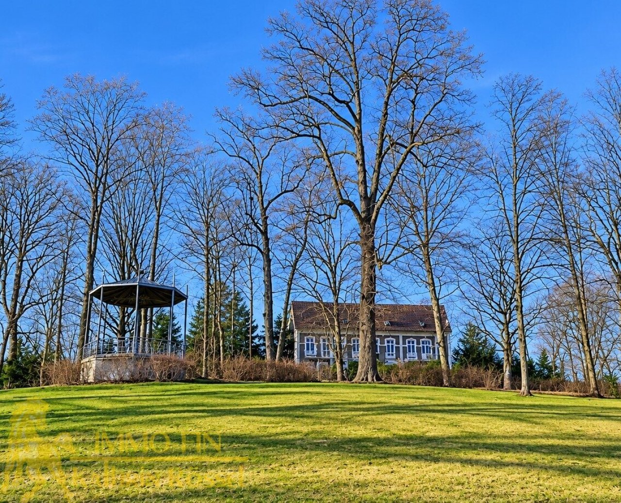 Blick vom Park auf das MFH (Ost) (KI-optimiert)