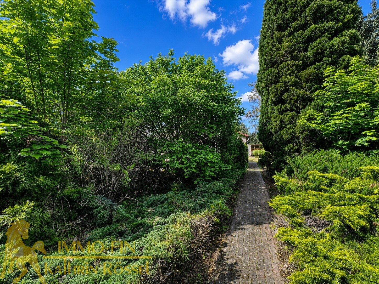 Gepflasterter Gehweg zum Haus (O) Gepflasterter Gehweg zum Haus (O)