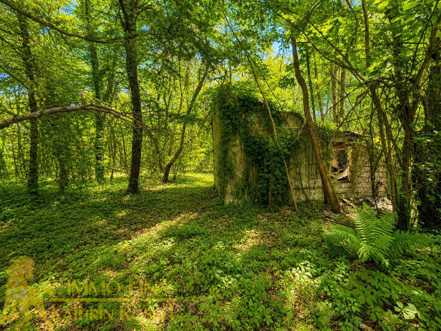 Im verträumten Garten (KI-optimiert)