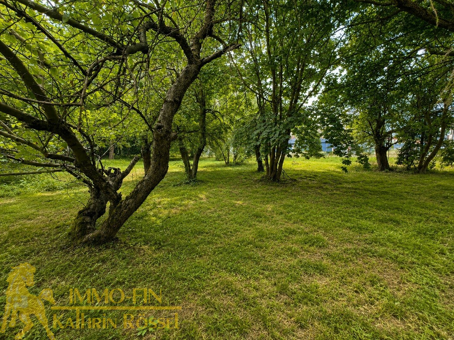 Garten (KI-optimiert)