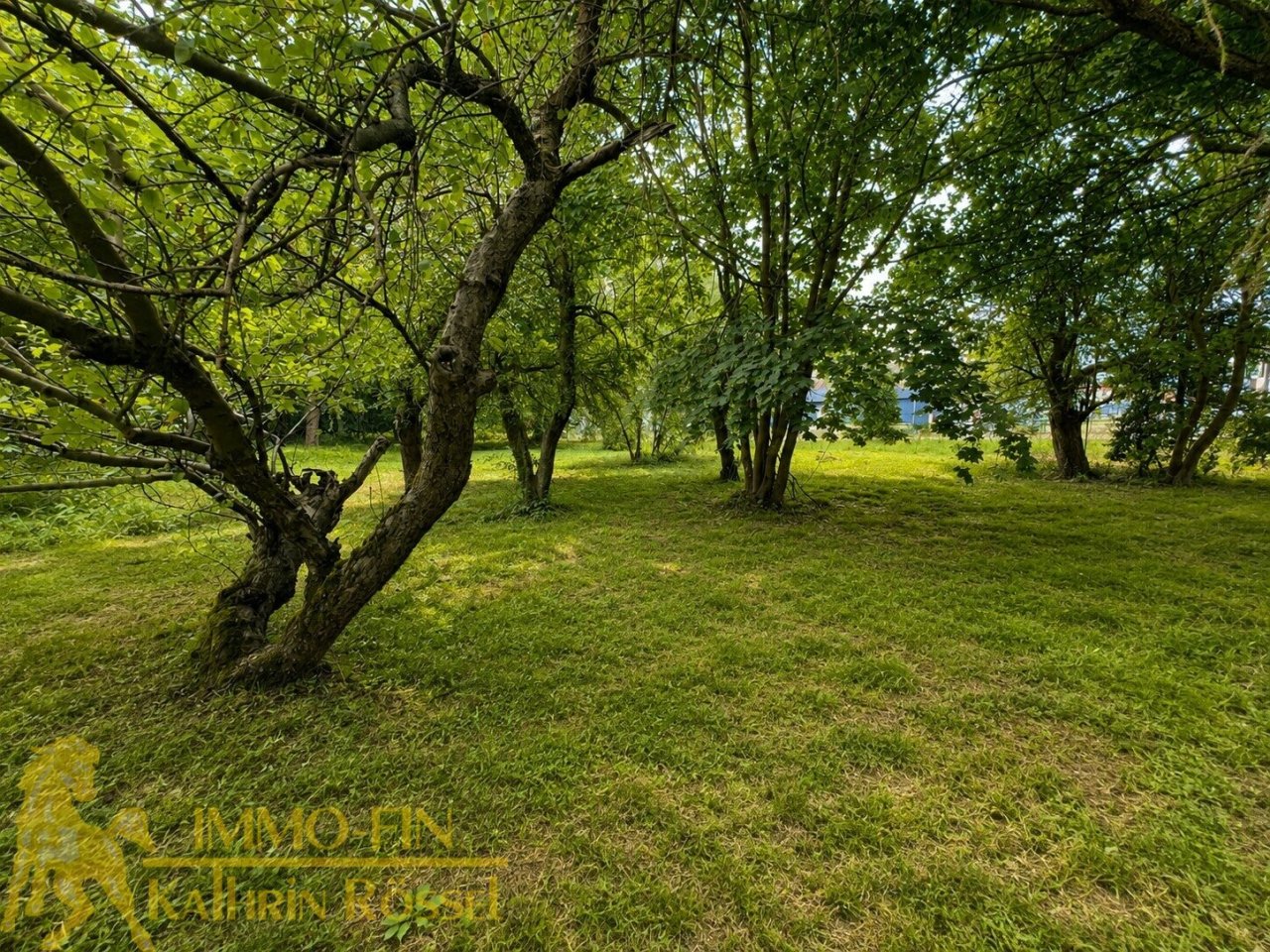 Garten (KI-optimiert)