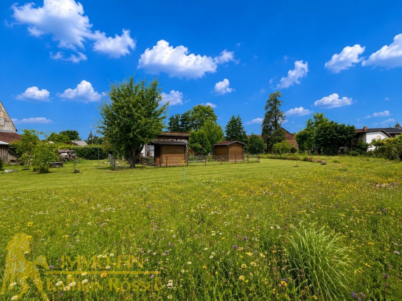 Wiese (KI-optimiert) Wiese (KI-optimiert)